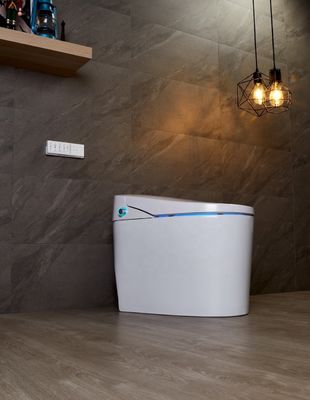 モダンなデザインのエコ・スマート 自動インテリジェント トイレにアップグレード 4.8L 洗浄流量 簡単 DIY 設置