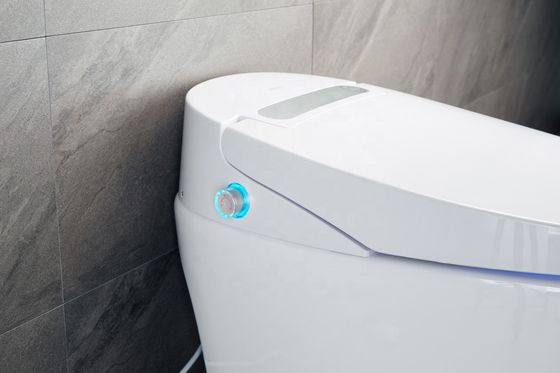 統合多機能豪華とインテリジェント・自動設計の&quot;パーツ構造暖かいバイデットトイレ