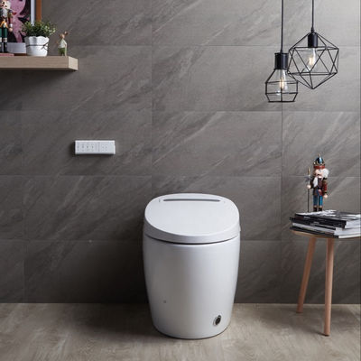 統合多機能豪華とインテリジェント・自動設計の&quot;パーツ構造暖かいバイデットトイレ