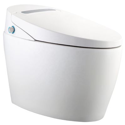 統合多機能豪華とインテリジェント・自動設計の&quot;パーツ構造暖かいバイデットトイレ